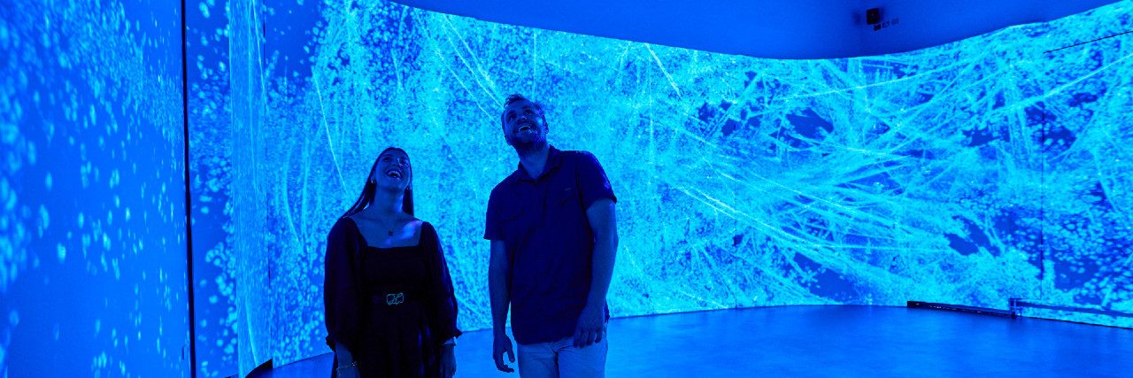 An adult male and female engage with an immersive art exhibition. 
